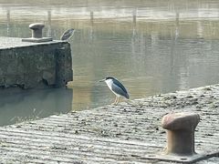 -苏州河梦清园环保主题公园