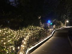 -宝莱纳啤酒花园餐厅PAULANER BRAUHAUS Nanjing(广州路店)