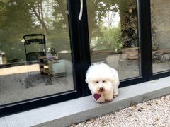 -J Create城市露营咖啡·简餐·宠物(上海动物园店)