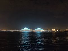 -武汉两江游览·夜游长江(汉口粤汉码头)