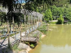 -鼓岭旅游度假区
