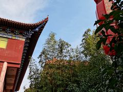 -皇罗禅寺
