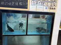 -九江市博物馆