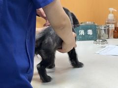 -联合动物医院(光谷诊疗中心)