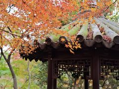 -留园