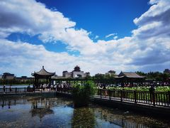 -莲花池公园