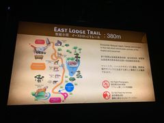 -夜间野生动物园