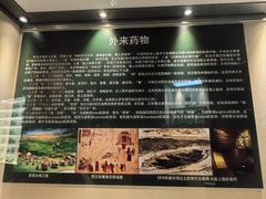 -广东中医药博物馆