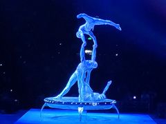 -珠海横琴长隆《卡卡虎奇遇记》