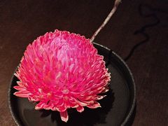 -大拙里·精致融合菜(沙湖桃源国际店)