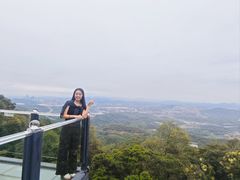 -黄埔油麻山森林公园