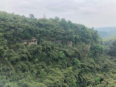 -川西竹海景区