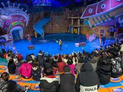 -烟台海昌鲸鲨海洋公园