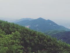-长沙黑麋峰国家森林公园