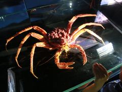 -同济大学四平路校区深海探索馆