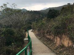 -南丫岛