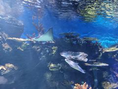 -华夏文旅海洋公园