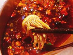 -老版火锅(半坡店)