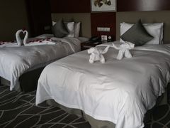 -常州环球恐龙城维景国际大酒店