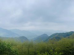 -莫干山风景区