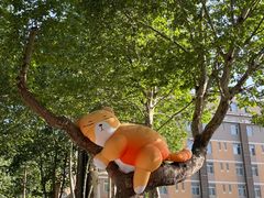 -西安电影制片厂