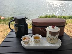 -鹤之洲湿地公园