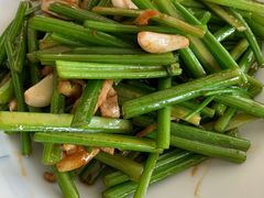 -食家鸽园