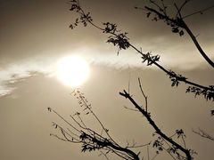 -午潮山国家森林公园