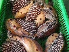 -友强·23年特色海鲜大排档(厦门店)