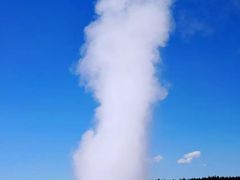-老忠实间歇泉