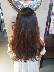 -Z.F私人订制