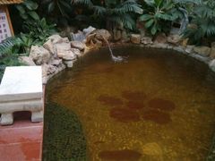 android_upload_pic-金隅凤山酒店