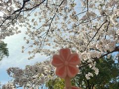 -自然谷恐龙园