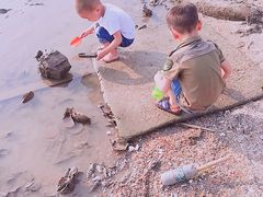 -宝安西湾红树林湿地公园