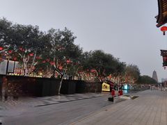 -必胜客(花舞大唐博物馆店)