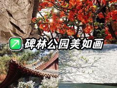 -碑林公园