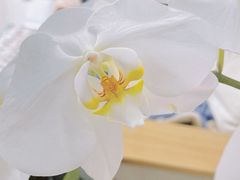 -知物癖(牛王庙店)