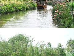 -江门古劳水乡旅游区