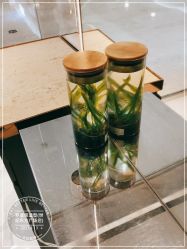 -罗亚帝造型·烫发染发