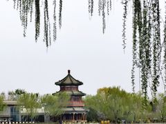 -后海公园