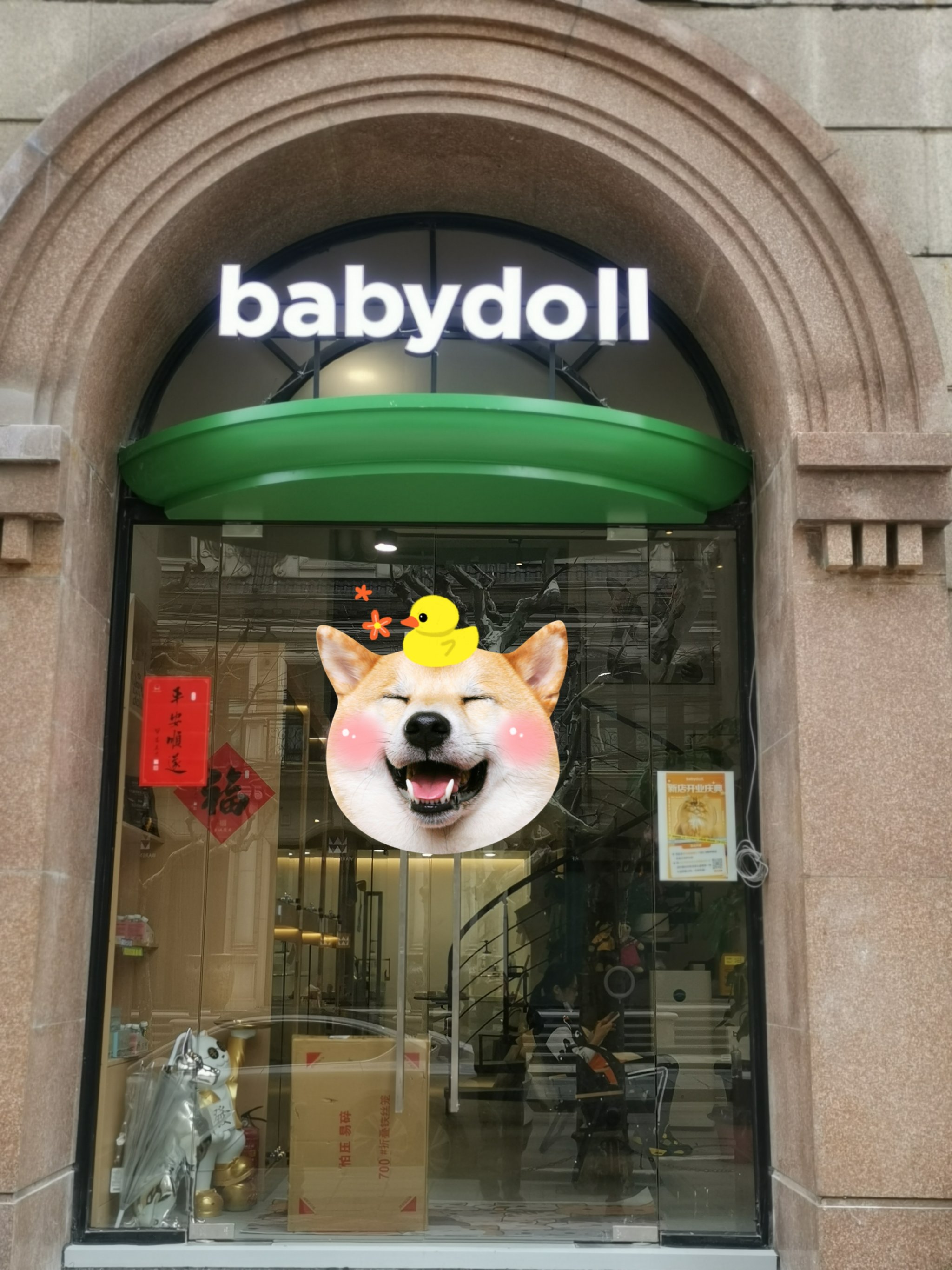 babydoll宠物生活馆图片