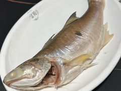 -吴记富苑(朝阳店)