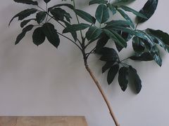 -VOYAGE COFFEE(杨梅竹店)