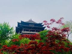 -济南大明湖景区