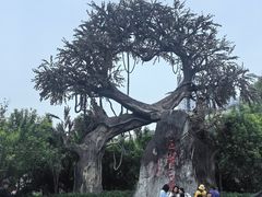 -昌州古城