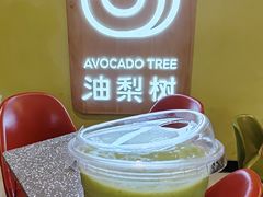 -油梨树AVOCADO TREE(嘉里中心店)