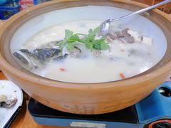 千岛湖浓汤鱼头-全乐鱼馆·淳牌有机鱼直营店