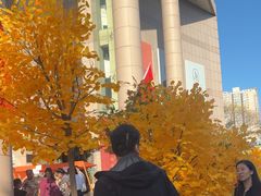 -西北轻工批发市场