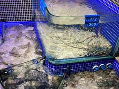 -青蓬蒸汽海鲜·深圳老字号·团建聚会(壹方城店)