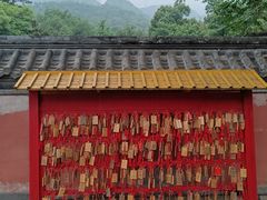 -阳台山自然风景区